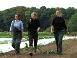 Video now online! Tuinderij De Stroom, The Netherlands: Growing strong through collaboration!